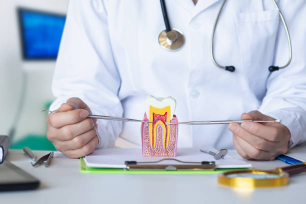 Best Emergency Dental Care for Broken or Chipped Teeth in Watsessing, NJ